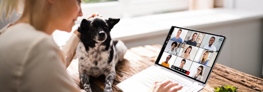 SIG Webinars
